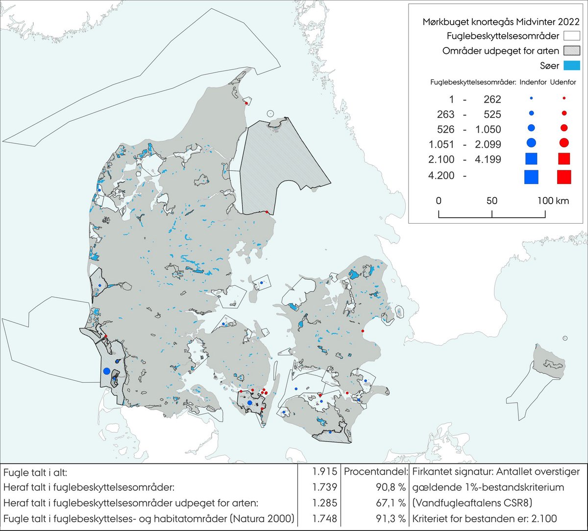 Mørkbuget knortegås mv 2022