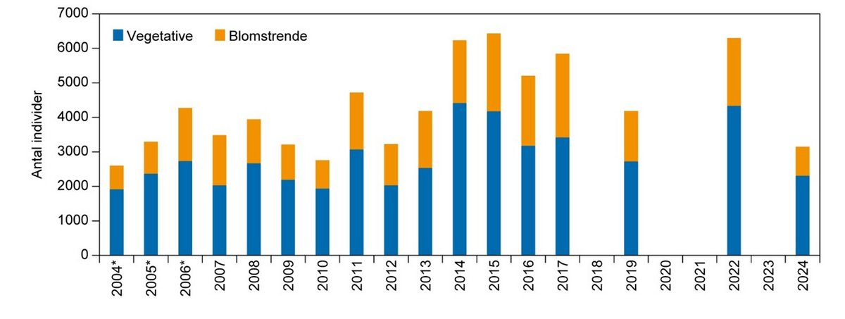 Mygblomst udvikling 2024