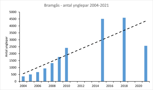 Figur 2 Bramgås 2004-21