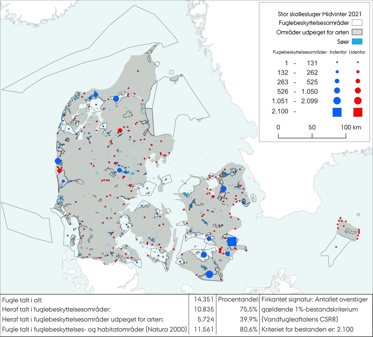 Midvintertælling stor skallesluger 2021