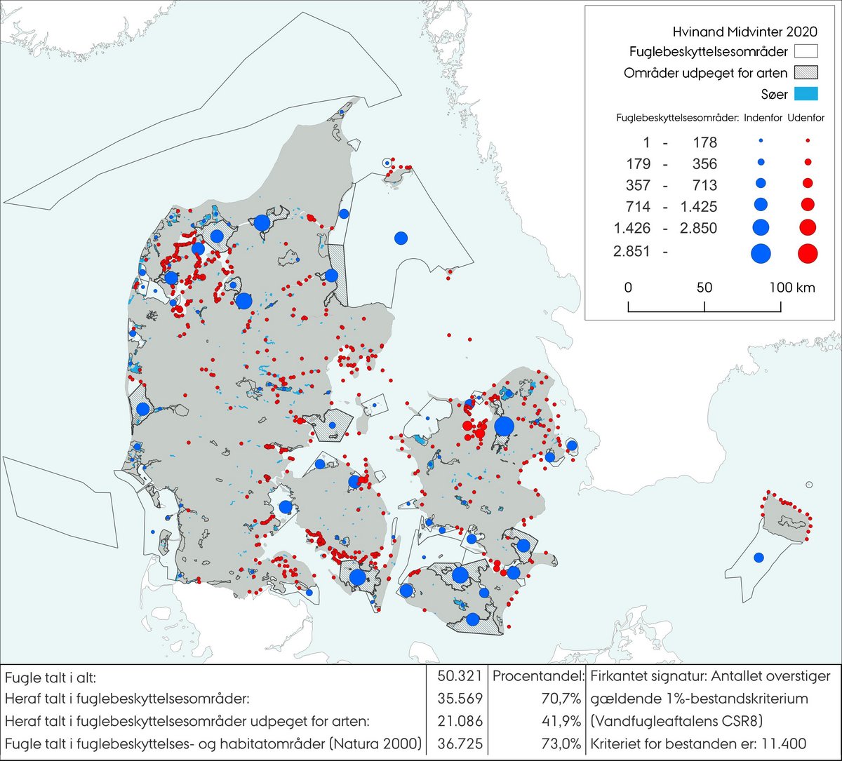 Midvintertælling hvinand 2020