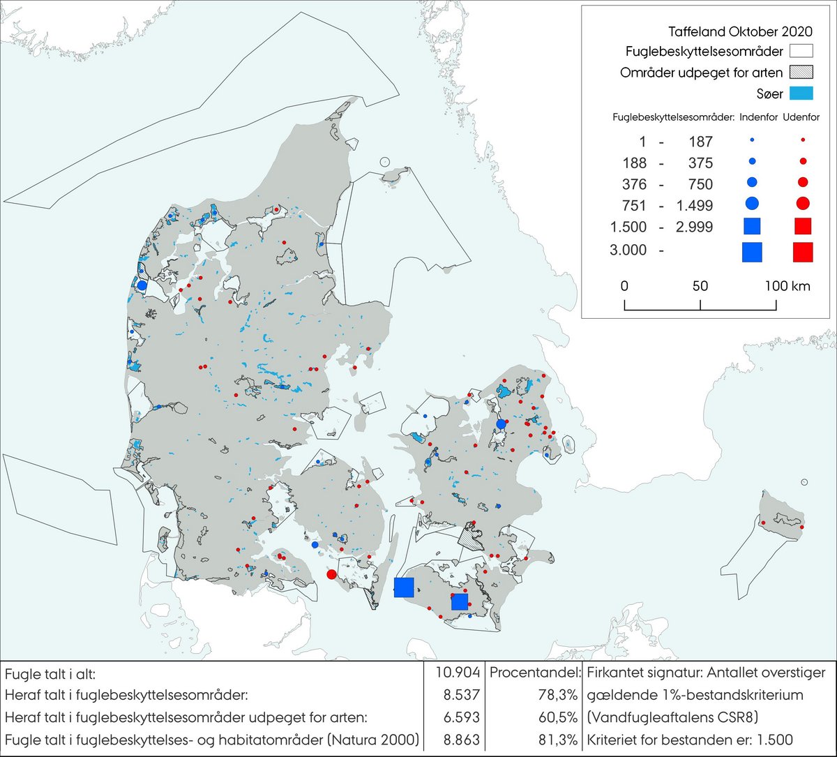 Taffeland tælling oktober 2020