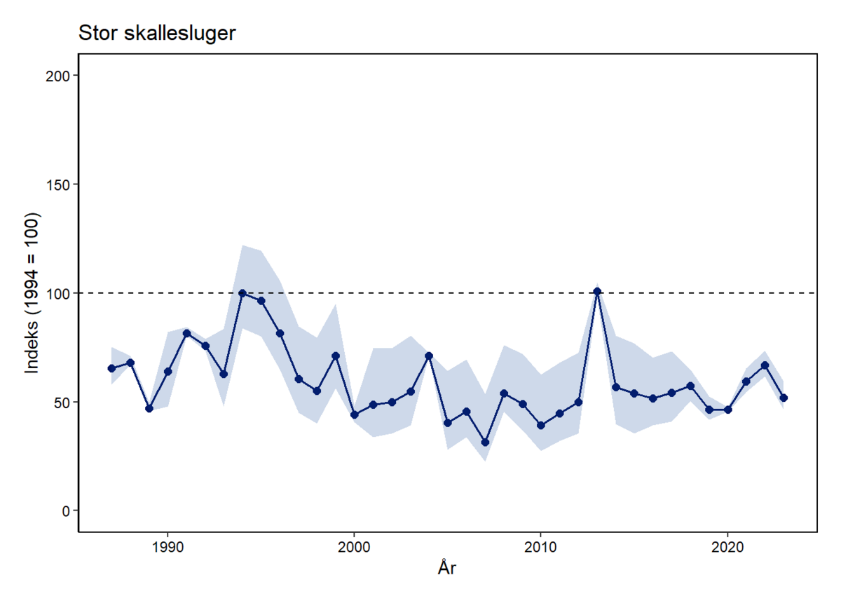 Stor skallesluger indeks 1987 - 2021