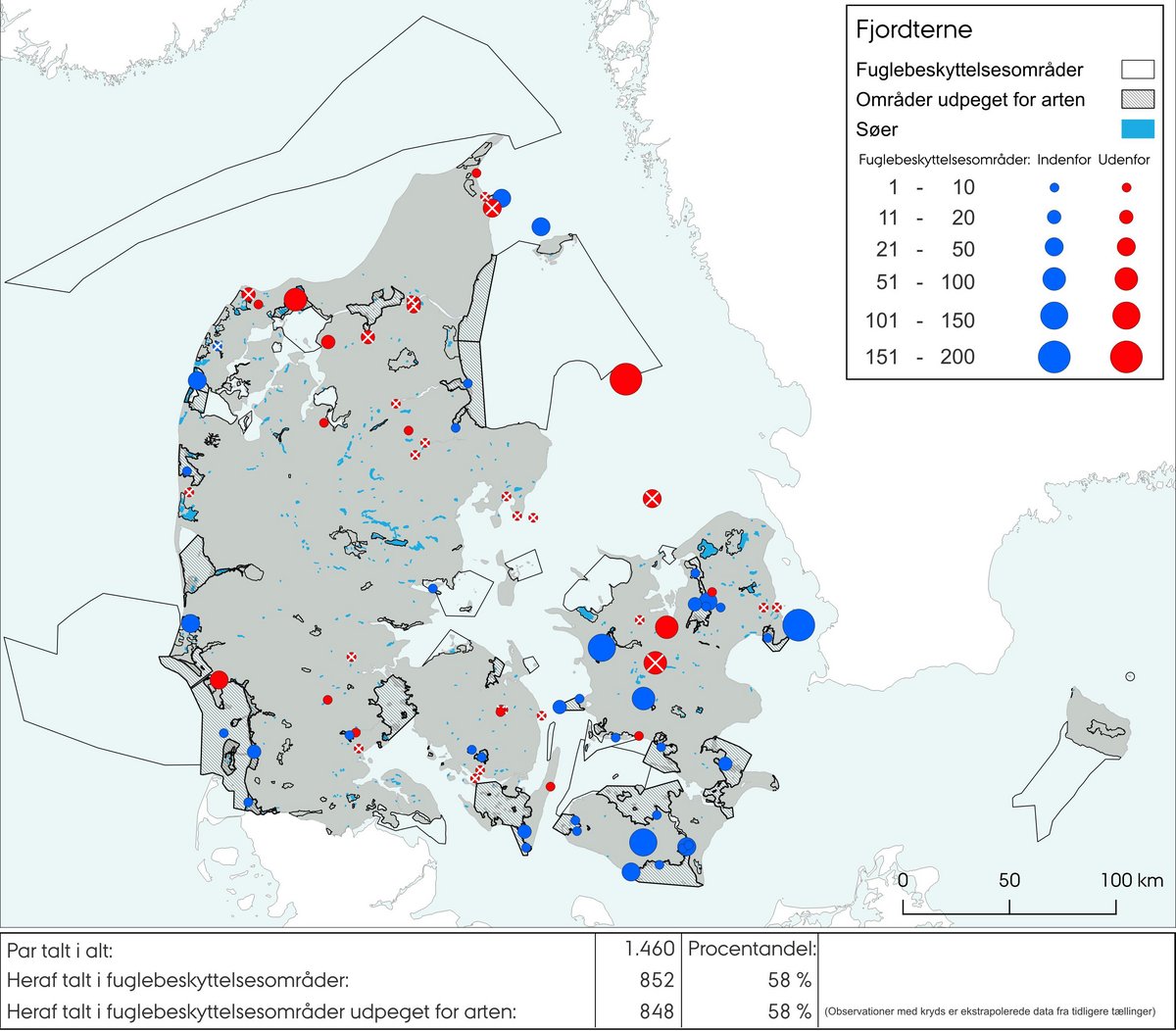 Fjordterne ynglende 2023