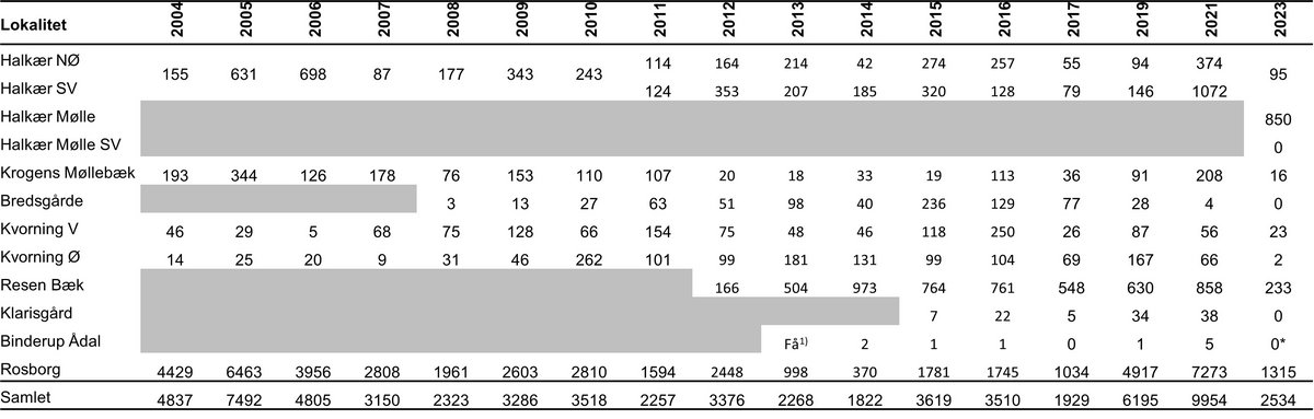 Gul stenbræk overvågede lokaliteter 2024