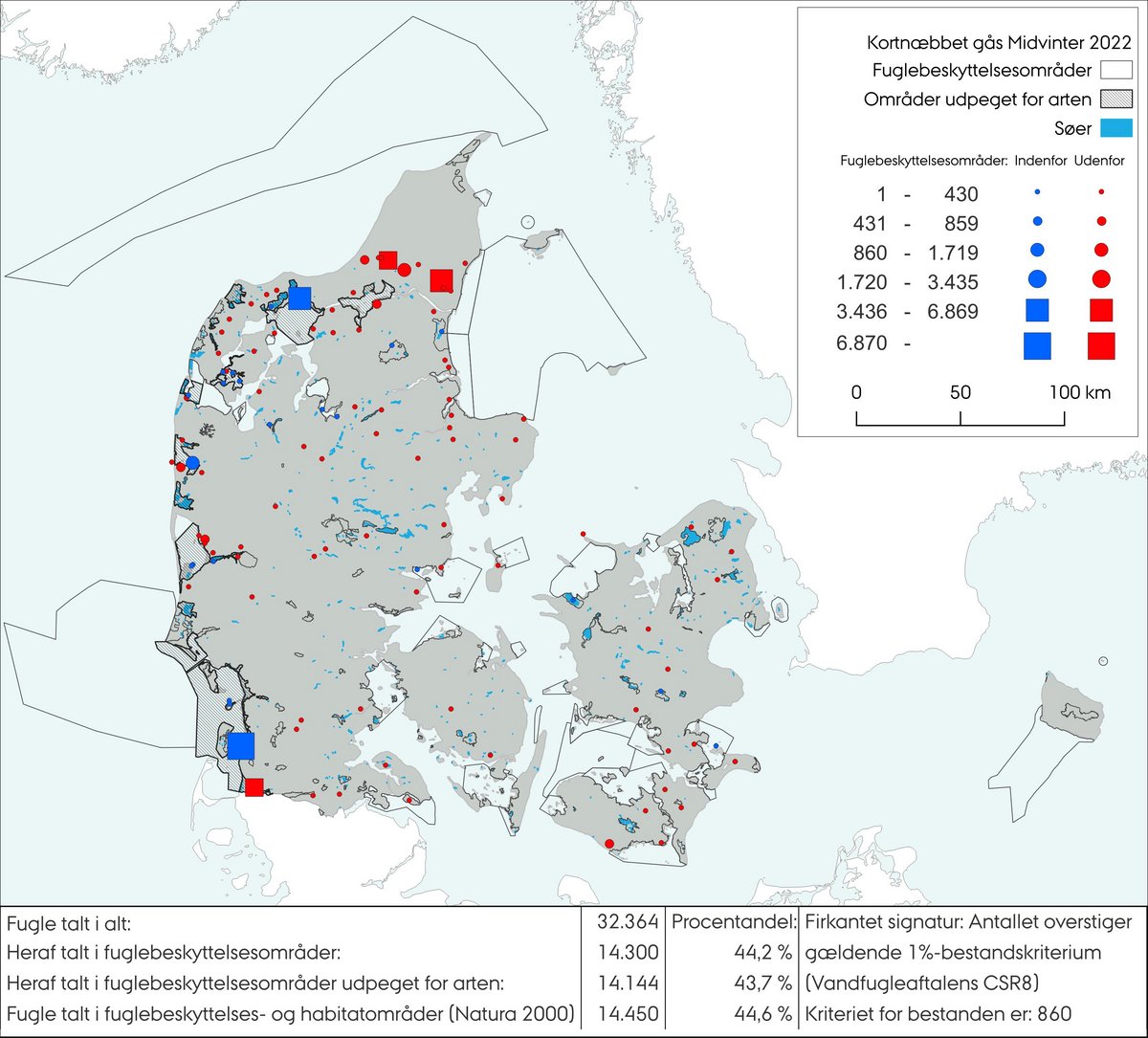 Kortnæbbet gås MV 2022