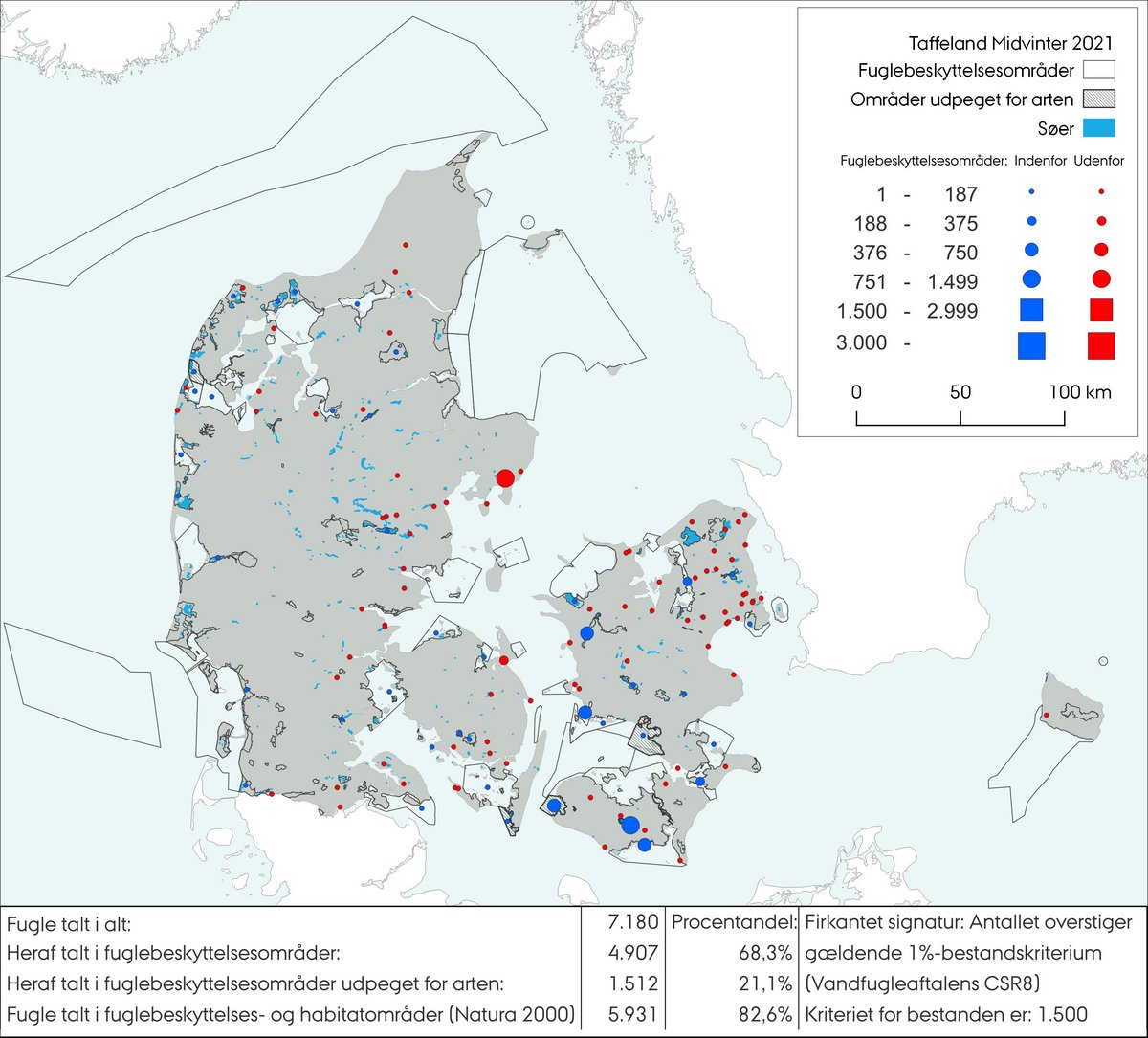 Taffeland midvinter 2021