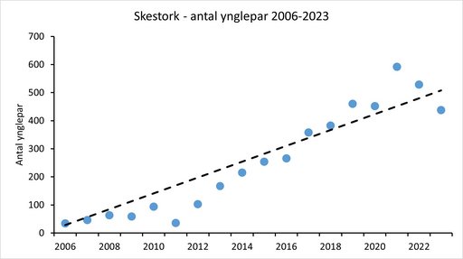 Bestandsudvikling skestork