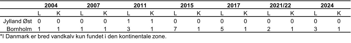 Bred vandkalv udvikling 2024