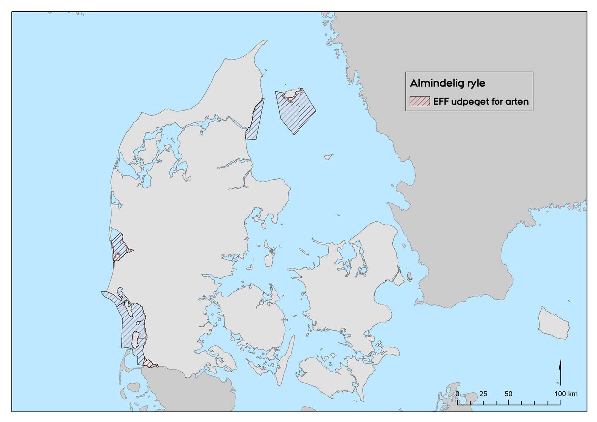 Øvrige tællinger almindelig ryle, figur 1