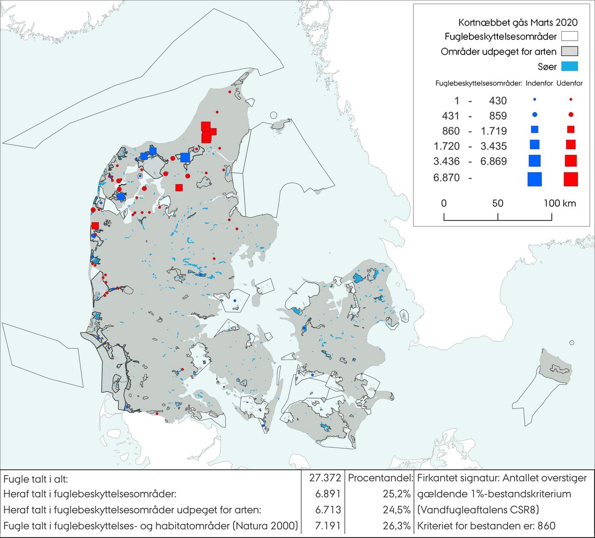 Kortnæbbet gås tælling marts 2020