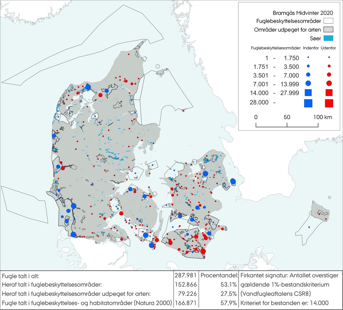 Midvintertælling bramgås 2020