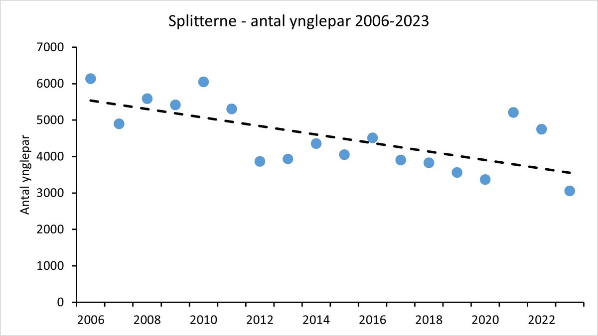 Bestandsudvikling splitterne