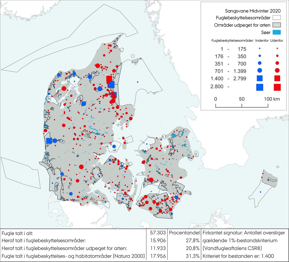 Midvintertælling sangsvane 2020