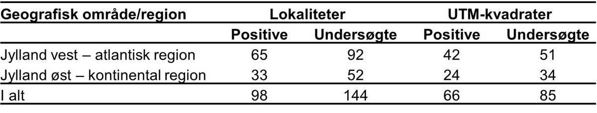 Grøn kølleguldsmed lokaliteter 2024