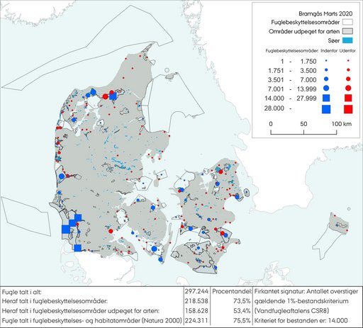 Bramgås tælling marts 2020