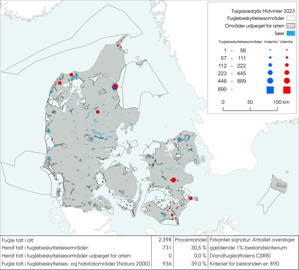 Tajgasædgås MV 2023