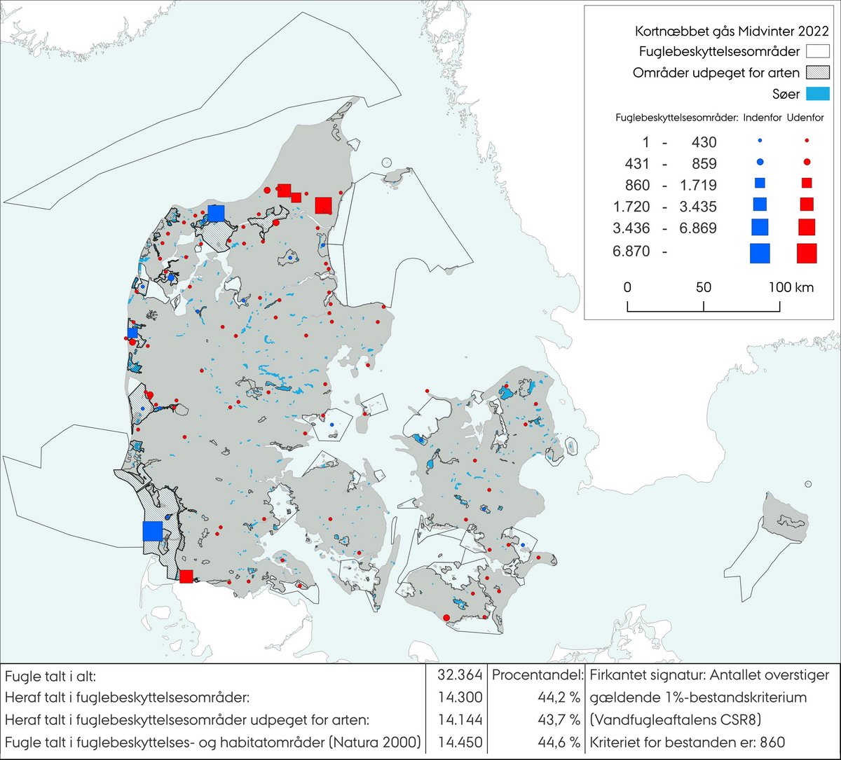 Kortnæbbet gås MV 2022