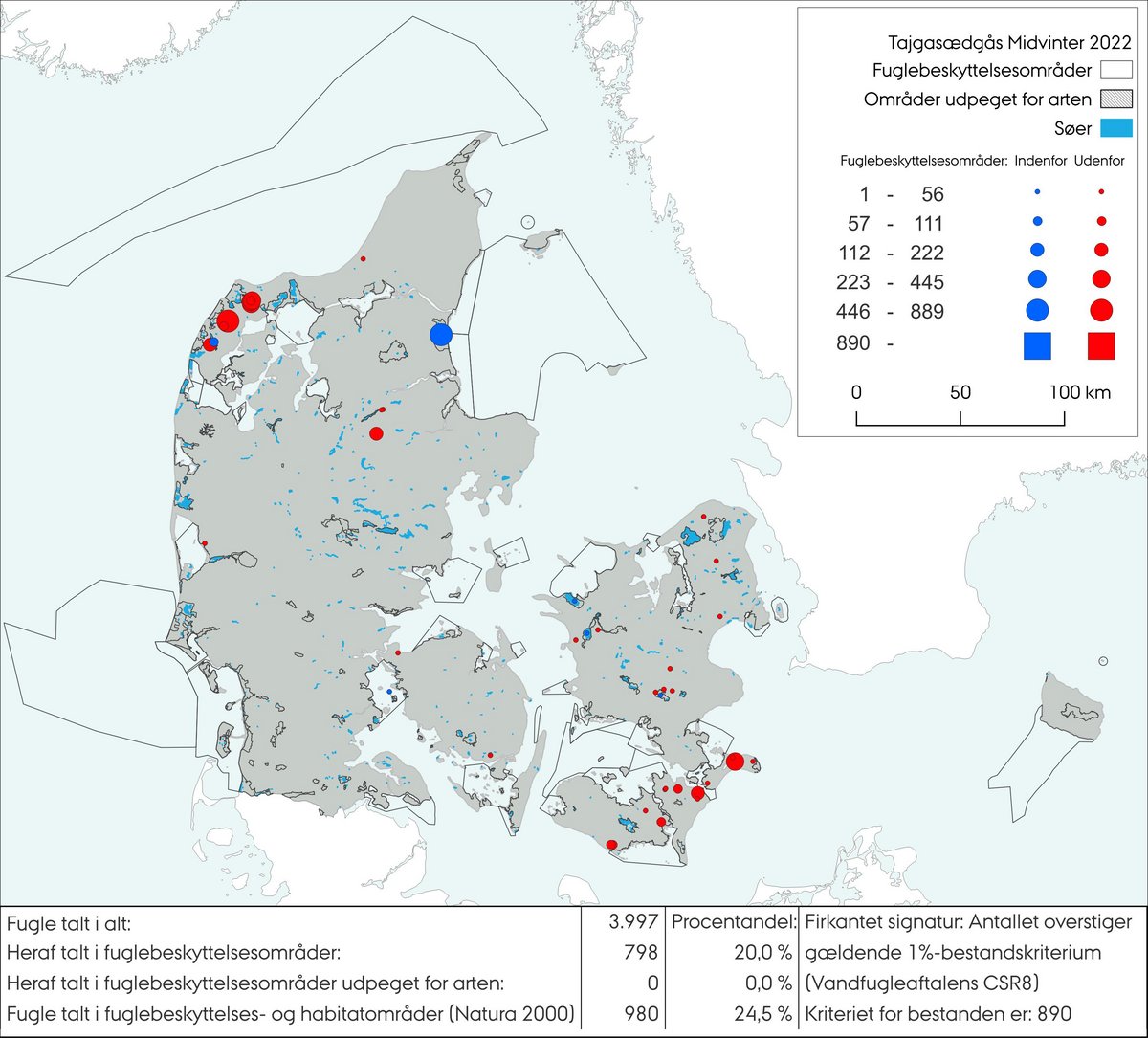 Tajgasædgås MV 2022