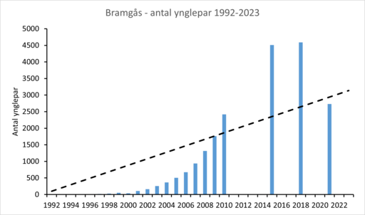 Figur 2 Bramgås 1992-2023