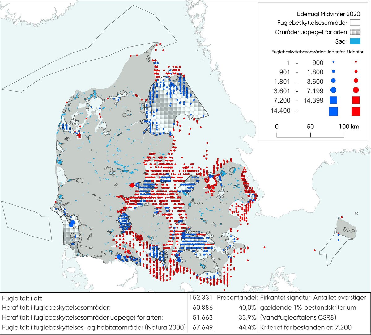 Midvintertælling ederfugl 2020