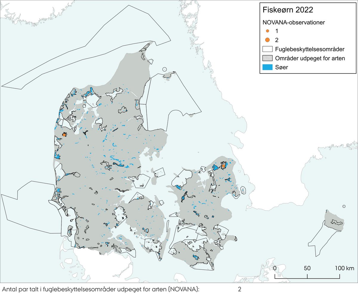 Figur 1a Fiskeørn
