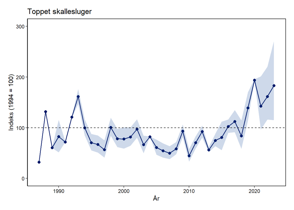 Toppet skallesluger 1987 - 2023