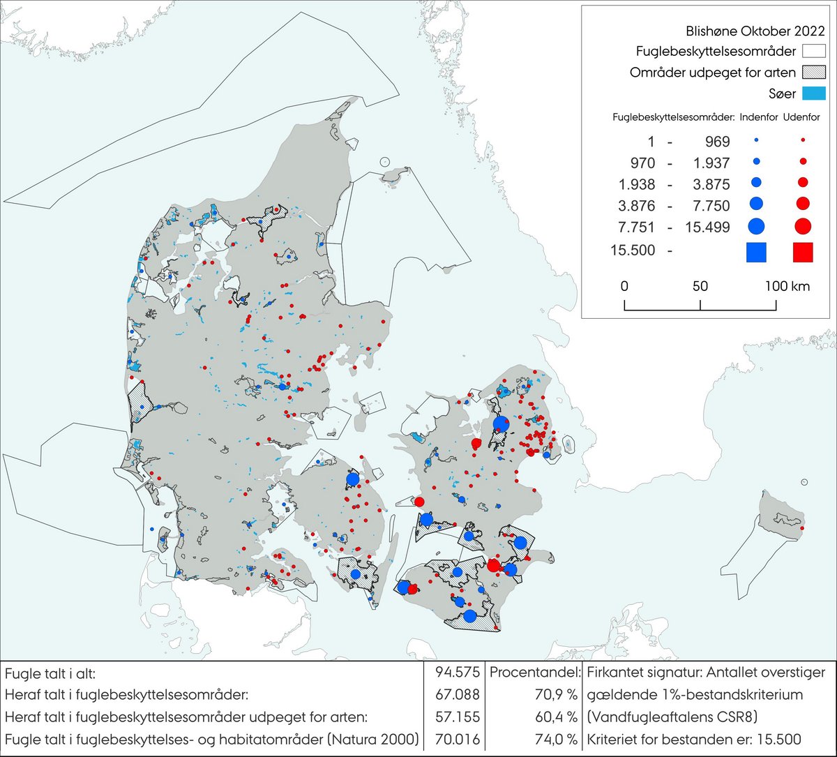 blishøne okt 2022