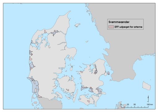 Øvrige tællinger svømmeænder, figur 1