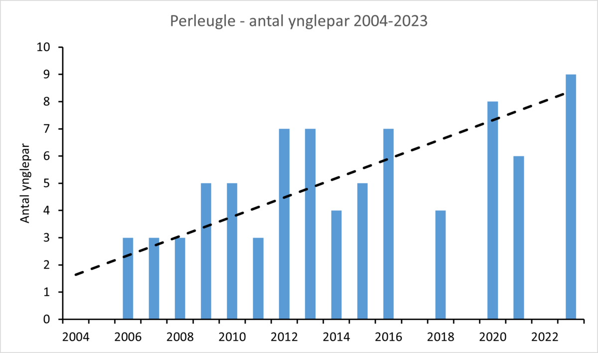 Figur 2 Perleugle 2004-2023