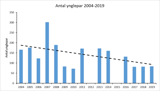 Figur 2 Engsnarre 2004-2019