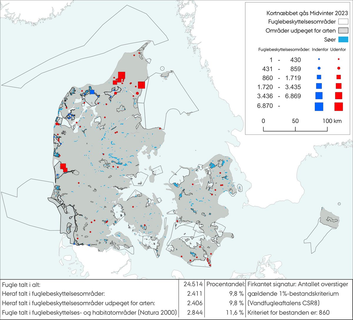 Kortnæbbet gås MV 2023