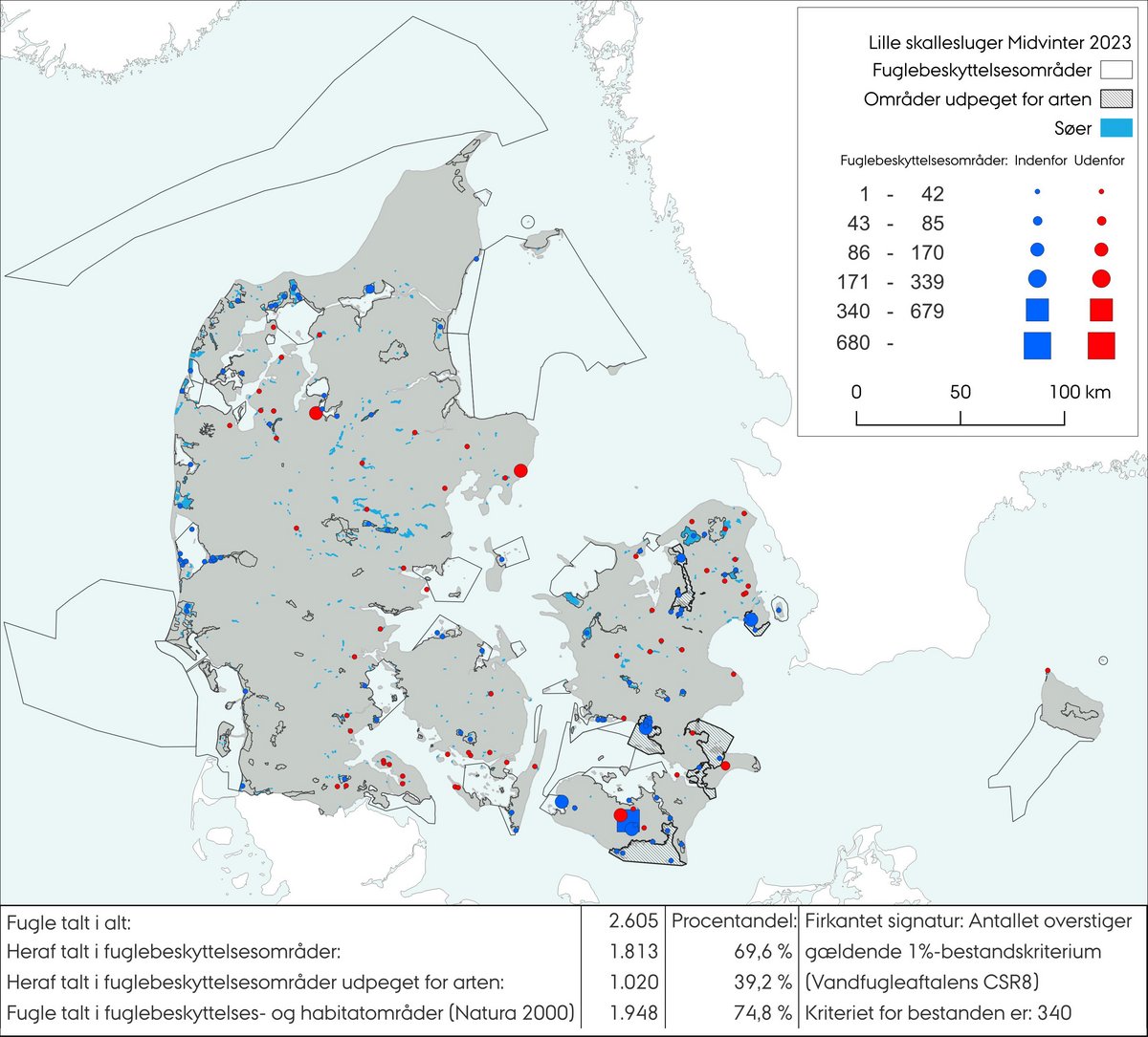 Lille skallesluger MV 2023