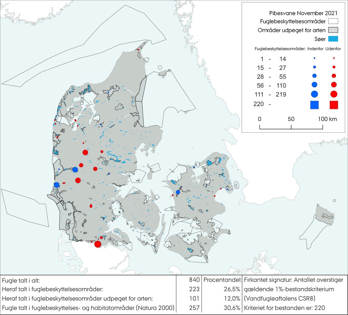 Pibesvane tælling november 2021