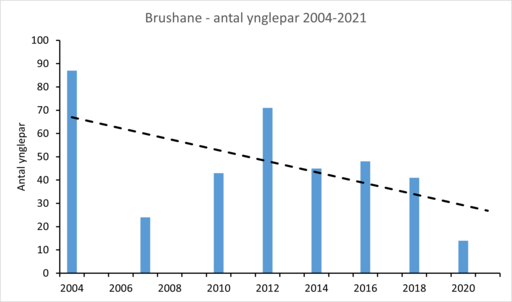 Figur 2 Brushane 2004-2021