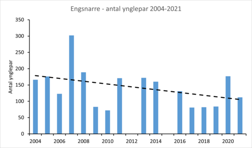 Figur 2 Engsnarre 2004-2021