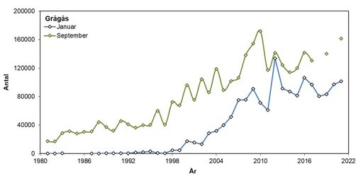 Grågås 1981-2021
