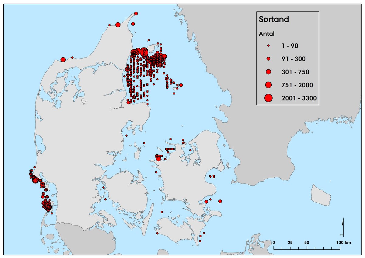Sortand 2018 fældefugle