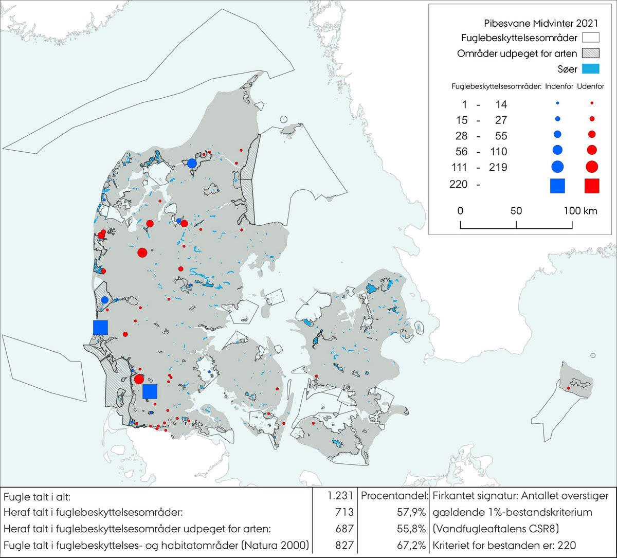 Midvintertælling pibesvane 2021