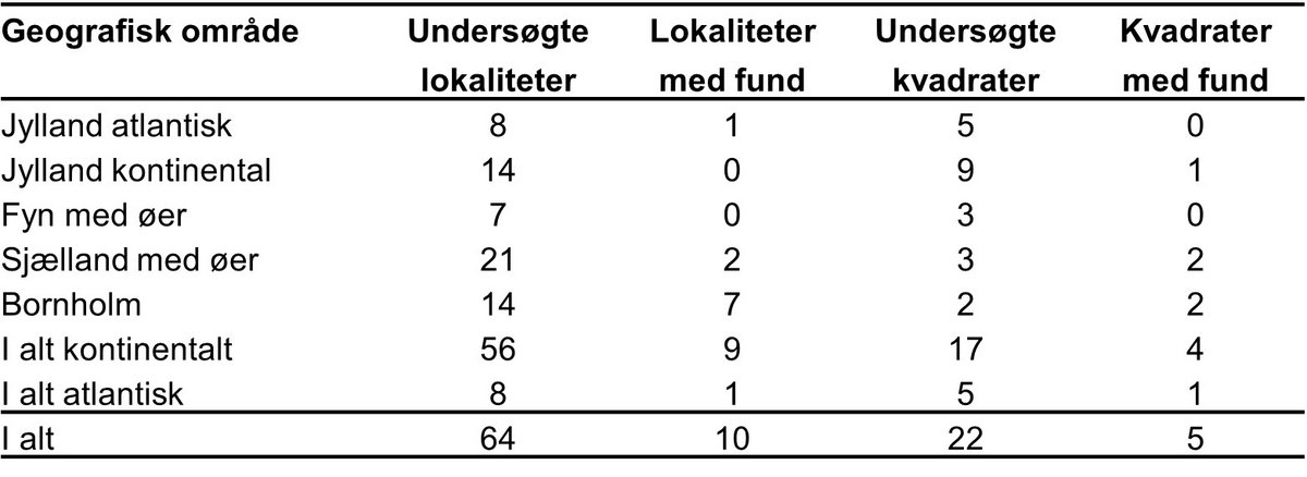 Lys skivevandkalv undersøgte lokaliteter 2024