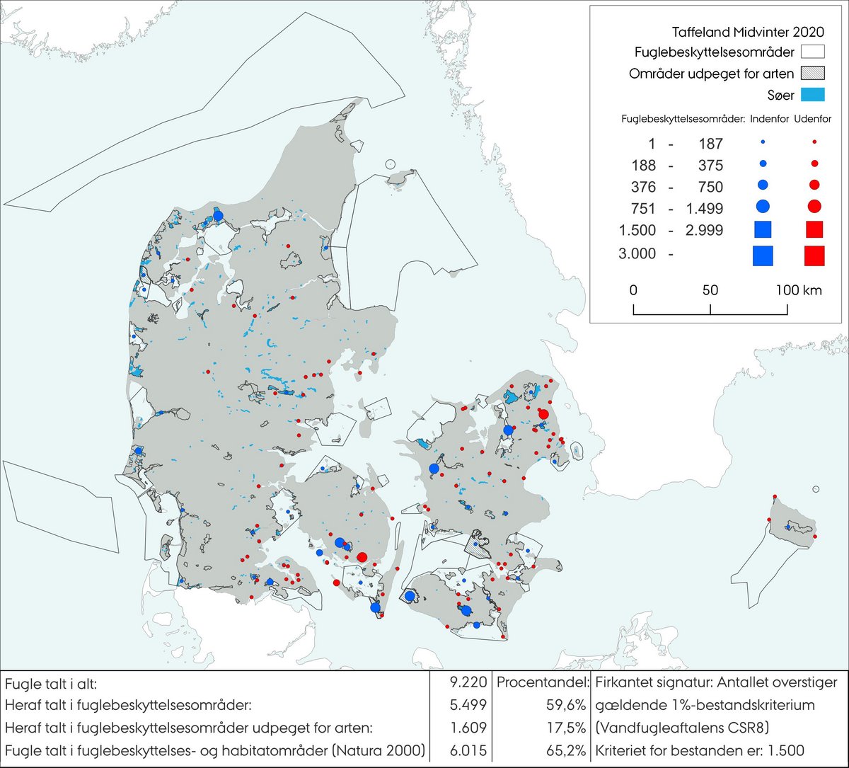 Midvintertælling taffeland 2020