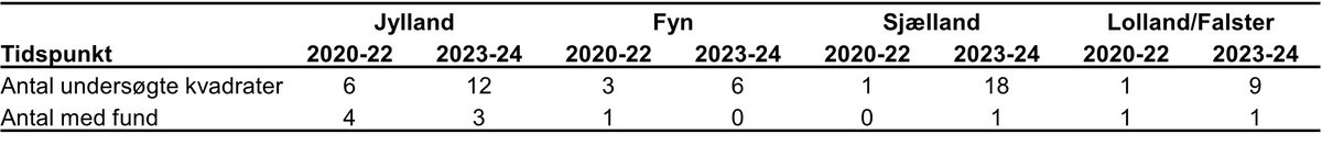 Stellas mosskorpion resultat 2024