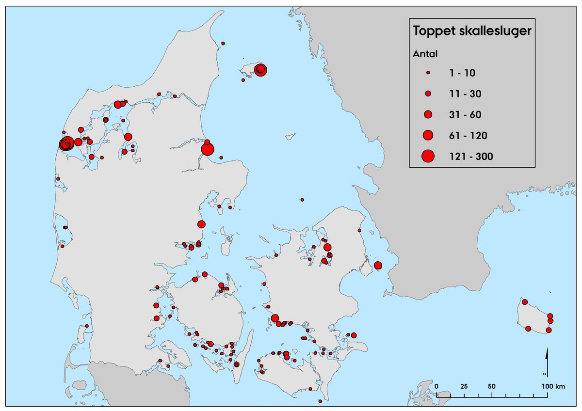 Toppet skallesluger 2018 fældefugle