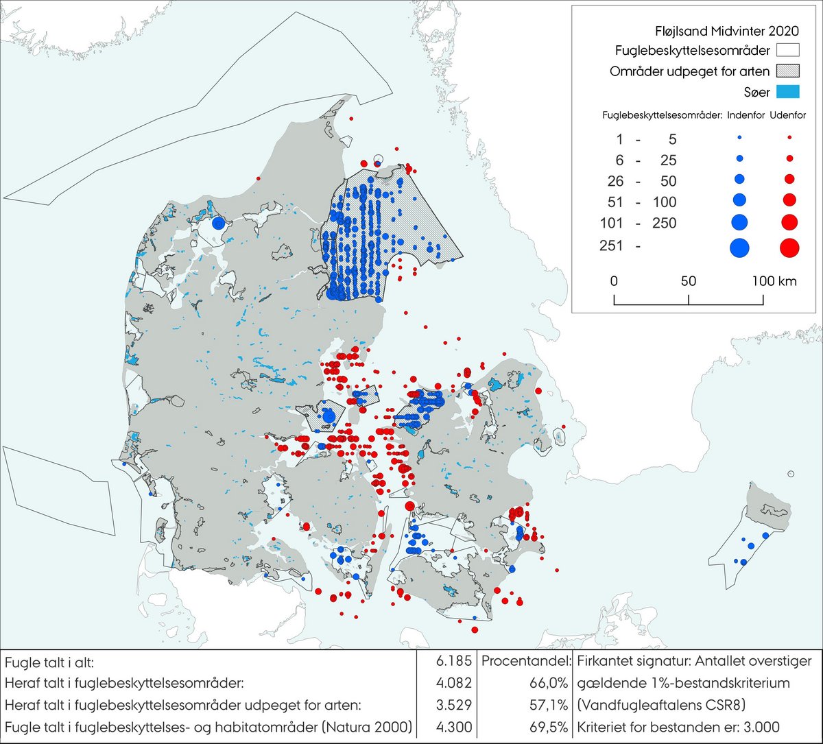 Midvintertælling fløjlsand 2020