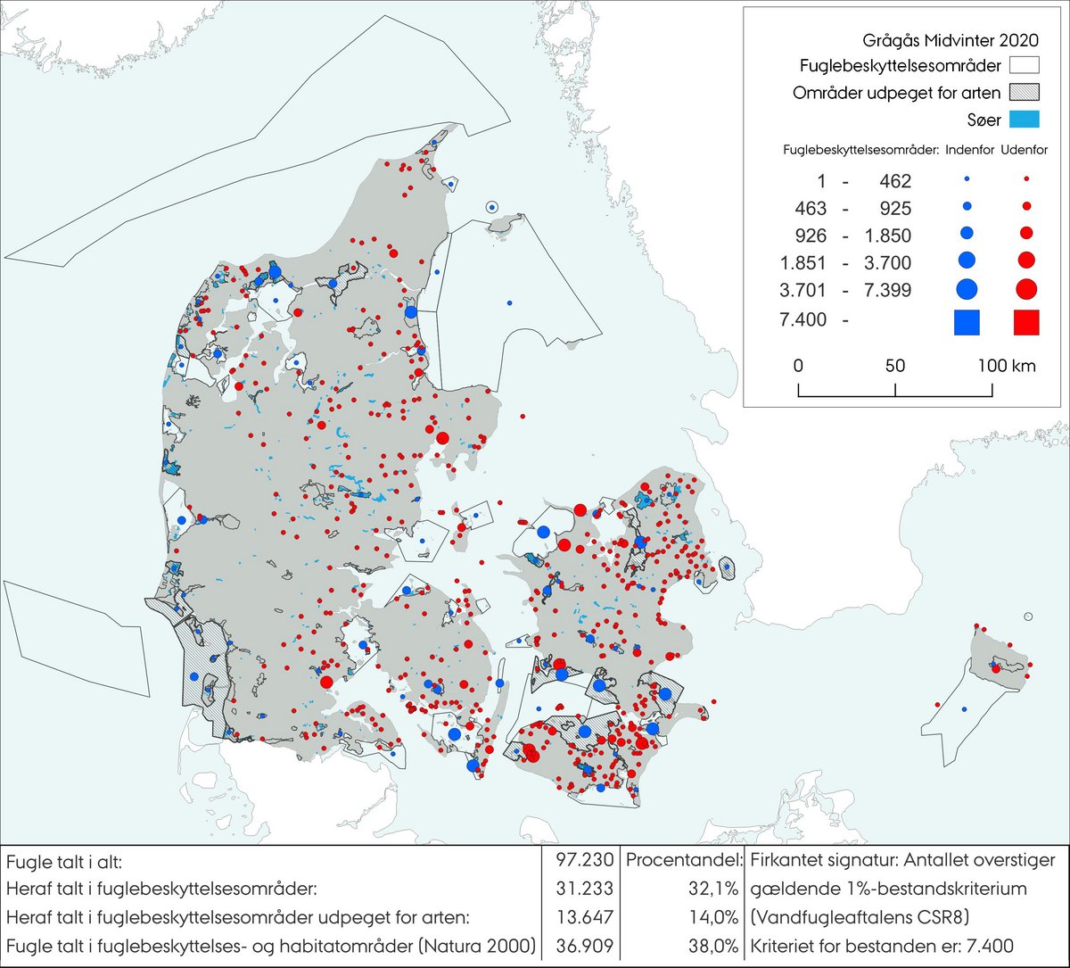 Midvintertælling grågås 2020