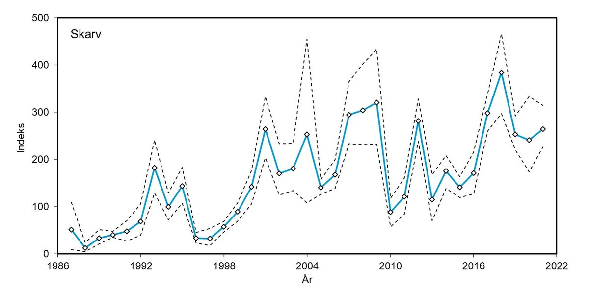 Skarv indeks 1987 - 2021