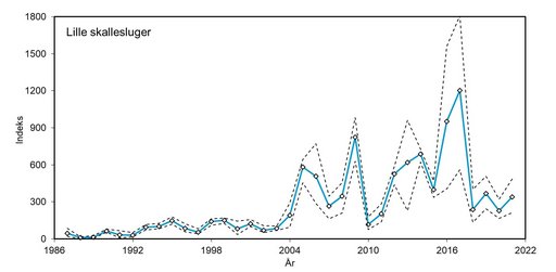 Lille skallesluger indeks 1987 - 2021