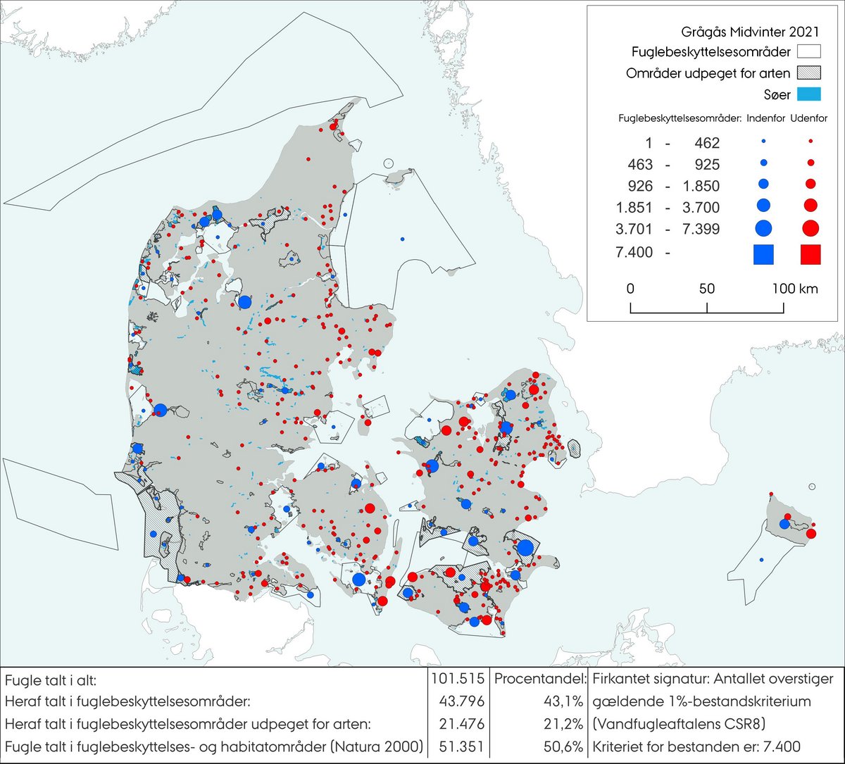 Midvintertælling grågås 2021