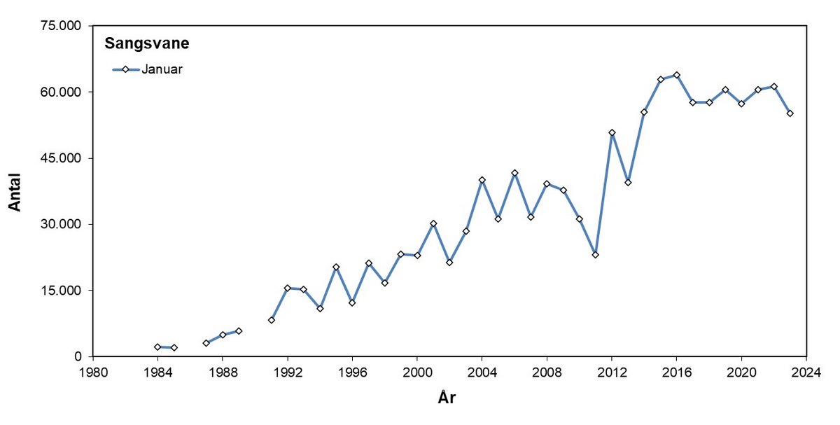 Sangsvane 1984-2023