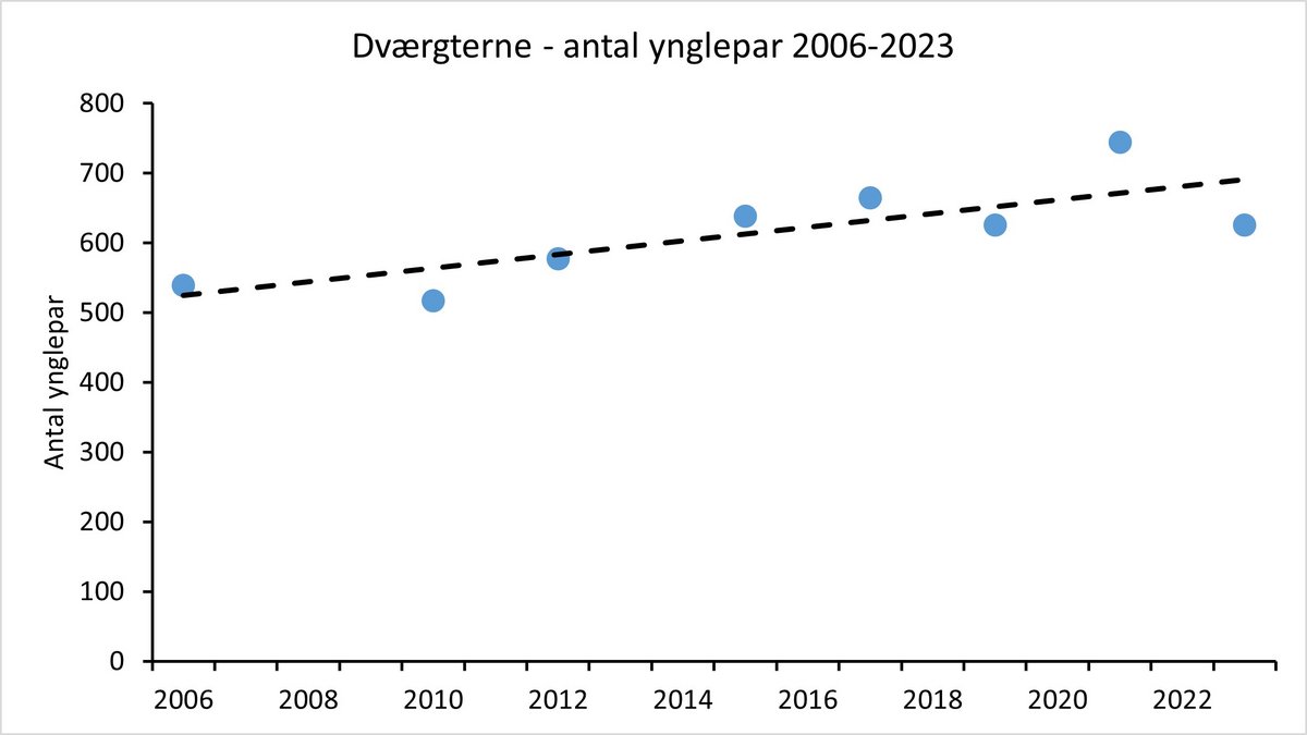 Dværgterne bestandsudvikling